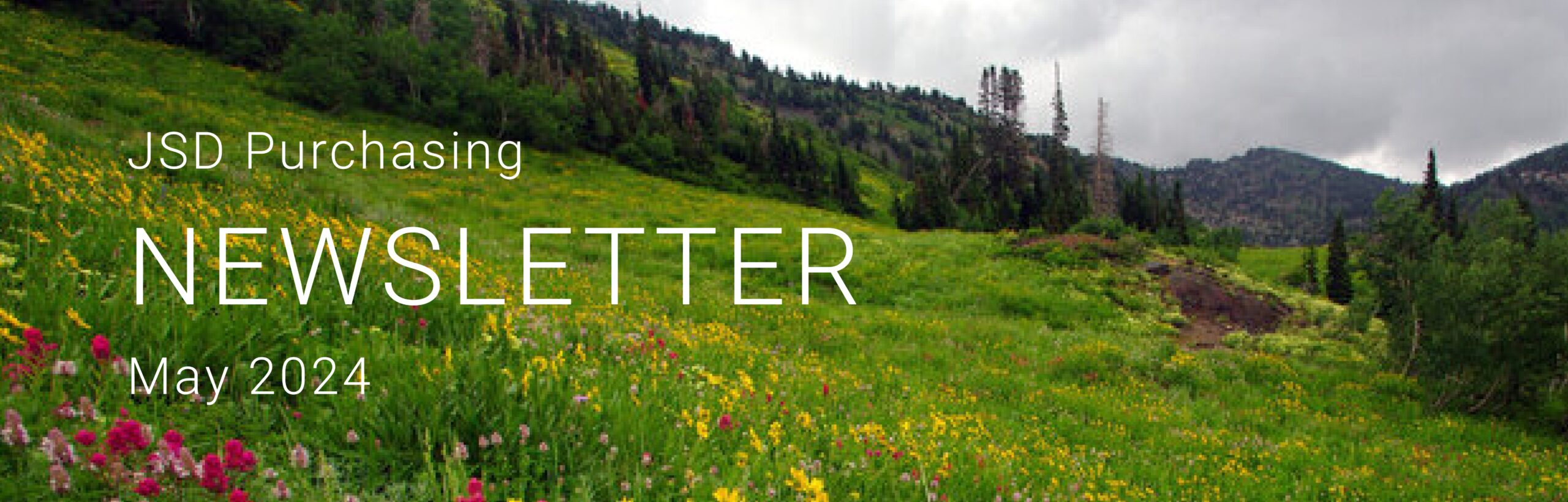 JSD Purchasing Newsletter, May 2024. Background shows a mountain meadow with flowers on a cloudy day.